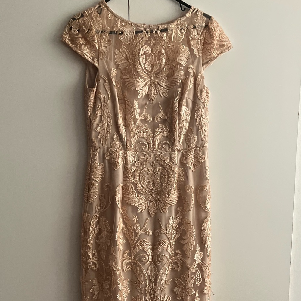 Alex Evenings Long Blush Floral Embroidery Classy Dre… Gem